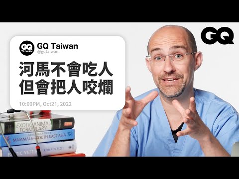 Wildlife Vet Answers Wild Animal Questions From Twitter｜GQ Taiwan