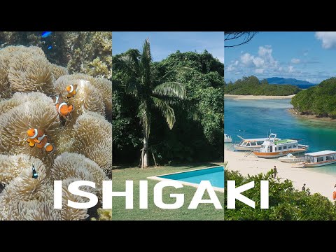 오키나와는 이시가키부터 EP.1🏝️ 셀프 스노클링 스팟🐠 | 역대급 이시가키규