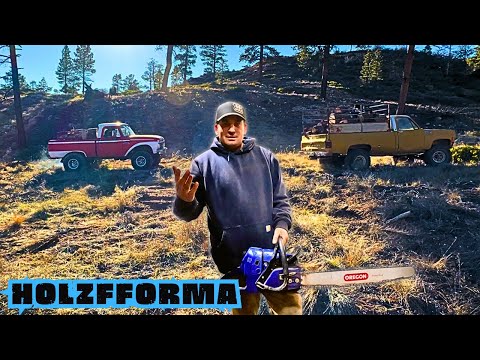 Are Holzfforma Chainsaws Any Good?