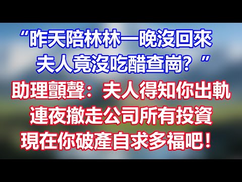 “昨天陪林林一晚沒回來，夫人竟沒吃醋查崗？”助理顫聲：夫人得知你出軌，連夜撤走公司所有投資，現在你破產自求多福吧！