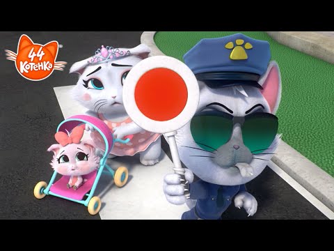 44 Котёнка | Котята в беде! Что же случилось? Смотри скорее! 🚨