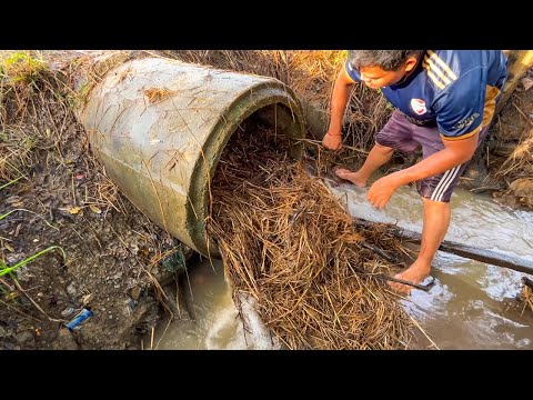 Remove Debris Clogged Culvert Farm