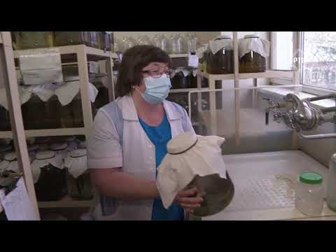 "Международный Центр Медицинской Пиявки"