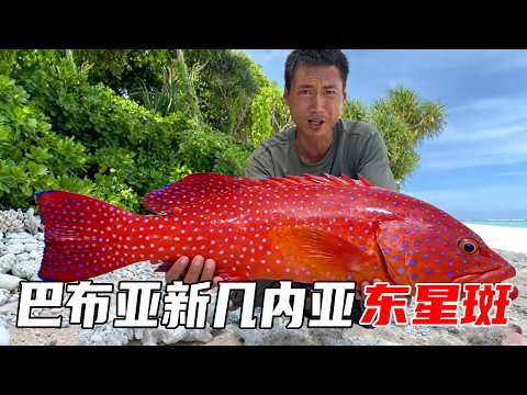 巴布亚新几内亚荒岛生存全集：岛上下雨气温骤降冻懵了，紧急换岛资源十分丰富，平头哥抓到东星斑肉超嫩【户外平头哥】