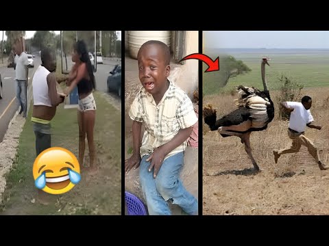 100 Best Funniest Videos of 2025 – Try Not to Laugh