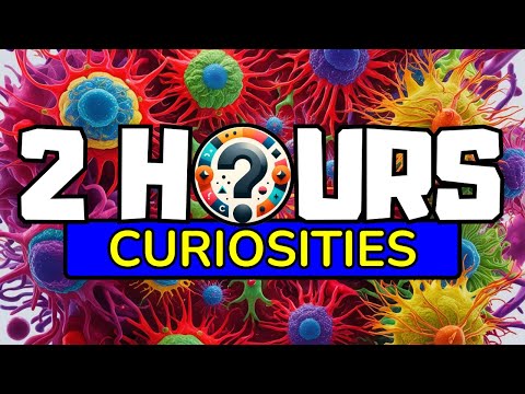 2 HOURS NON-STOP Cool Things you DIDN'T Know #1