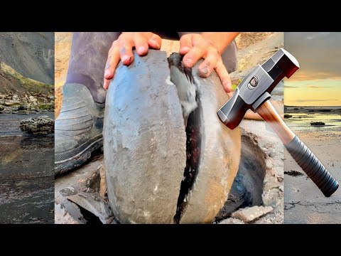 We CRACKED Limestone Rocks For Fossils! Calcite Ammonites, Squid, Bones And More!