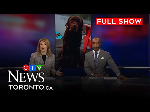 Dog found after vehicle stolen in Toronto | CTV News Toronto at Noon for Dec. 12, 2024