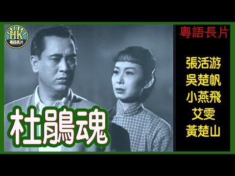 《粵語長片》杜鵑魂 (1954)｜張活游｜吳楚帆｜小燕飛｜艾雯｜黃楚山｜導演：秦劍｜香港電影｜香港粵語電影｜粵語中字
