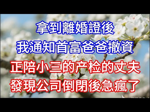 【完结】拿到離婚證後，我通知首富爸爸撤資，正陪小三产检的丈夫，發現公司倒閉後急瘋了#情感故事 #心灵感悟 #人生感悟 #感情