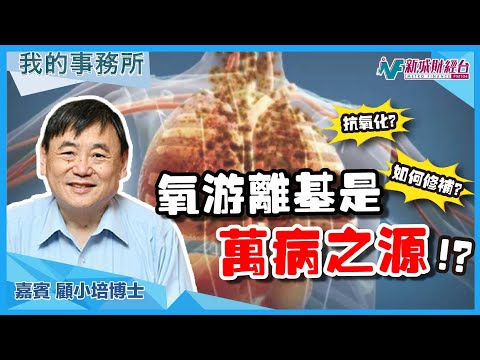 【我的事務所】這種物質是萬病之源？肺部纖維化如何修補？這些健康食品幫到你！｜顧小培 劉婉芬