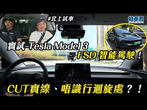 【北上試車】實試 Tesla Model 3 FSD 智能駕駛！CUT 實線、唔識行迴旋處？！同比亞迪 天神之眼 相差幾遠？｜拍車男
