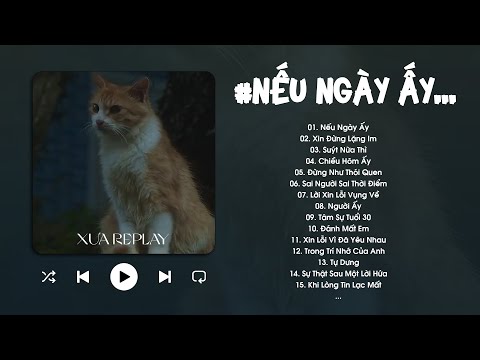 Nếu Ngày Ấy, Suýt Nữa Thì, Chiều Hôm Ấy - Top Hits Nhạc Ballad Cũ Nghe Vẫn Gây Nghiện Cực Chill