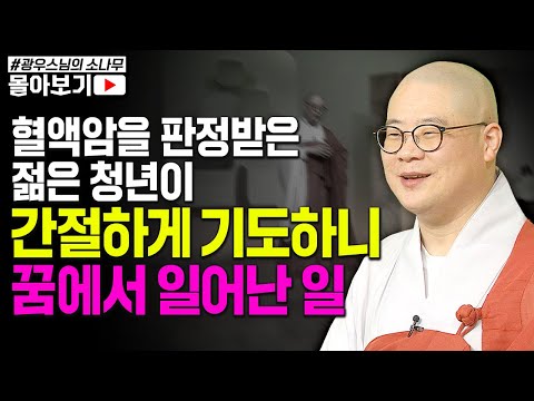 "제가 가진 전재산 100원을 올리며 기도했습니다" 20대에 혈액암 판정 받은 스님이 간절하게 기도했더니 일어난 대박 가피! [초심으로 돌아가는 광우스님의 소나무 시즌3 몰아보기]