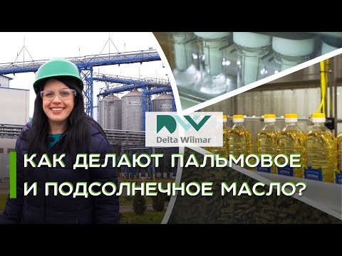Производство растительных масел: как это сделано | Дельта Вилмар Украина | Latifundist