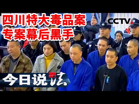 《今日说法》毒资流水上百亿 从村支书到政协委员 四川深山大型制毒现场曝光！20230819 | CCTV今日说法官方频道