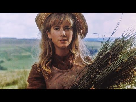 /드라마/노벨상 작가 원작. 지울 수 없는 상처로 돌아온 풋내기 시절의 설익은 사랑.(영화리뷰 결말포함)