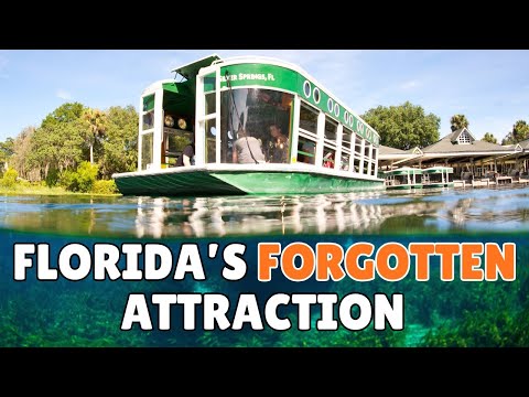 What Happened to Silver Springs?