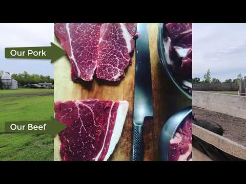 How We Raise Milk Fed Pastured Pork on Our Permaculture Farm