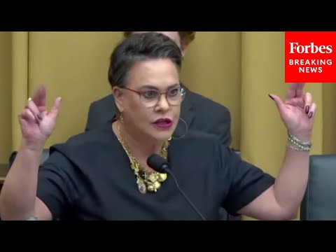 Harriet Hageman Slams Use Of Term 'Gender-Affirming Care' At Tense House Judiciary Committee Hearing