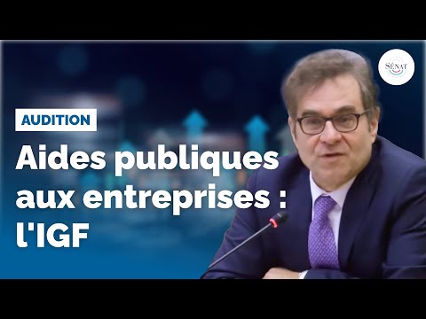 Aides publiques aux entreprises : audition de l'IGF