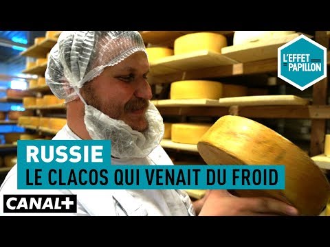 Russie : Le clacos qui venait du froid - L’Effet Papillon