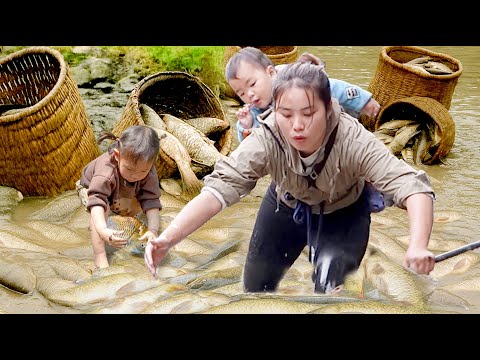 Biggest Summer Catch! Monster Pond Fish 100KG+ to Sell at Market & Cook for My Daughter