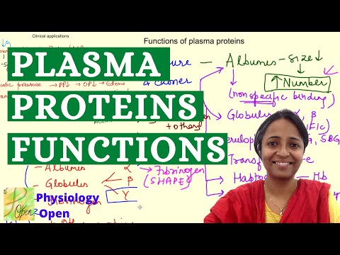Plasma proteins , functions and clinical applications | Blood physiology mbbs 1st year lecture