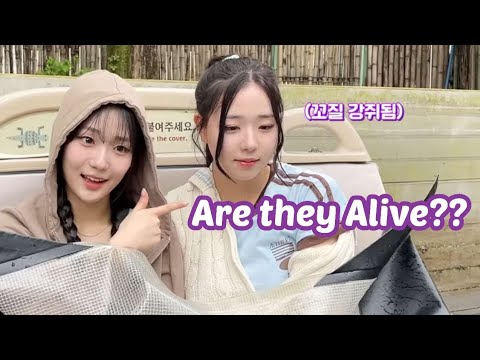 25 tripleS funny moments to celebrate ASSEMBLE25 | tripleS funny moments