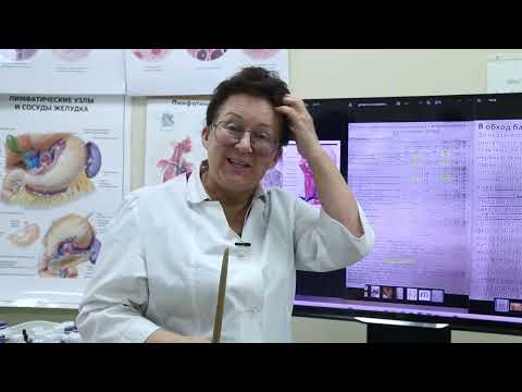 Причины головокружений, обморока - ортостатическая гипотензия. [Шишова О.И.]