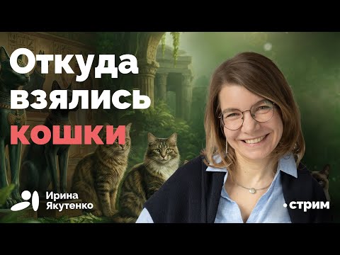 Ученые переписали историю одомашнивания кошачьих