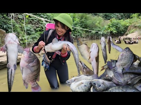 How to use a bamboo boat to catch fish and trap fish with plastic cans by an 18-year-old single girl