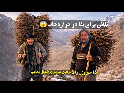 پیرمرد ۶۰ ساله‌ی قریه جولای شیبر بامیان هر روز ۱۰۰ کیلو وزن را به فاصله ۵ ساعت حمل می‌کند.