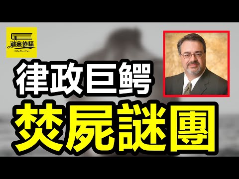 豪門囚妻出軌已婚男人，律師丈夫慘遭焚屍滅迹！三婚少妇出轨小16岁干儿子，深夜窒息惨死床头！美容店老板出轨男老师，惨遭灭口抛尸水井！#案件 #crime #案件解說 #案件調查 #crimestory