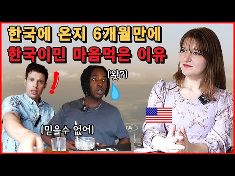 6개월 한국생활 후 한국으로 이민 결심한 이유
