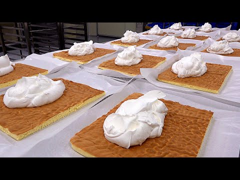 롤케이크 공장 Mass production! Cream Bomb Roll Cake Making Process - Korean cake factory