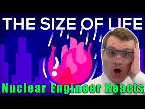 Nuclear Engineer Reacts to Kurzgesagt "The Size of Life - Parts 1 and 2"
