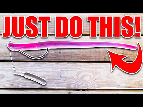 How to Fish a Dropshot Better Than 99% of Fisherman!