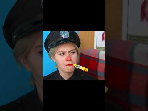 brachte die Katze ins Gefängnis