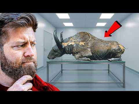 5 More Prehistoric Animals Found Frozen in Ice