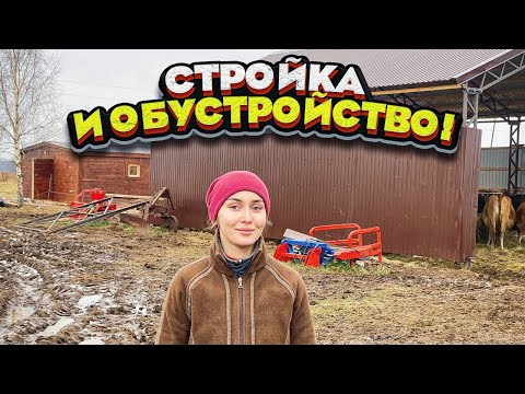 Обустройство козовника, навеса, сыроварни и удои от сенажа! | Молодая Ферма