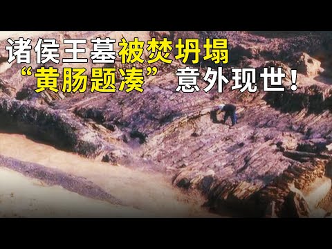 诸侯王墓遭大火焚烧 劫后余存重大发现！传说中的葬制“黄肠题凑”首现！《奥秘2023》暑期篇（42）丨 中华国宝