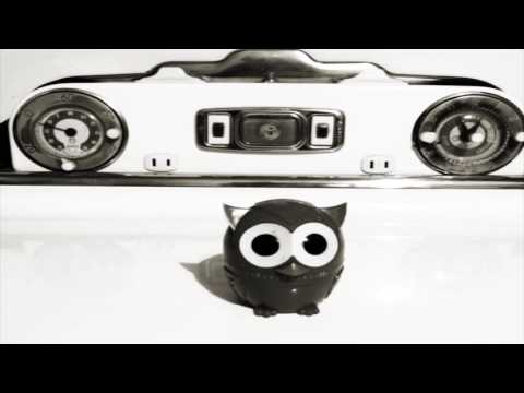 Nick Cave -Anthrocene