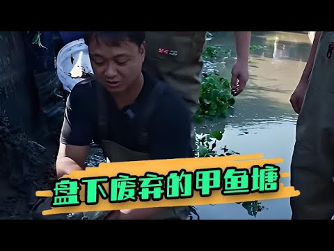 花1800帶老丈人盤下廢棄的甲魚塘，裏面到底會有什麽？  #戶外 #農村生活 #大表哥