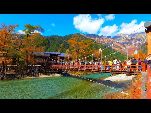 The autumn leaves in Kamikochi were breathtakingly beautiful on the coldest day!