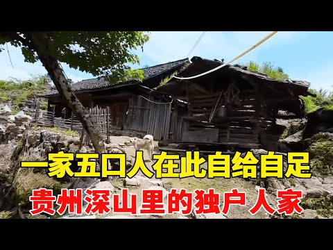 Visit a single-family family in the mountains of Guizhou. The house bought for 60000 yuan 20 years