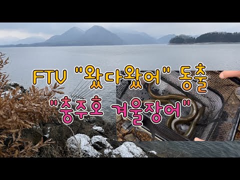 2025년 시즌마감. FTV "왔다왔어" 동출 #충주호 #원투낚시 #fishing #낚시 #장어 #낚시