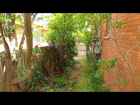 This is the BEST Yard Transformation on YOUTUBE - GUARANTEED!