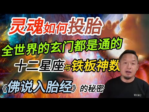 灵魂·中阴身是如何投胎的丨十二星座与铁板神数丨《佛说入胎经》的秘密#老王來了 #玄学 #命运 #投胎