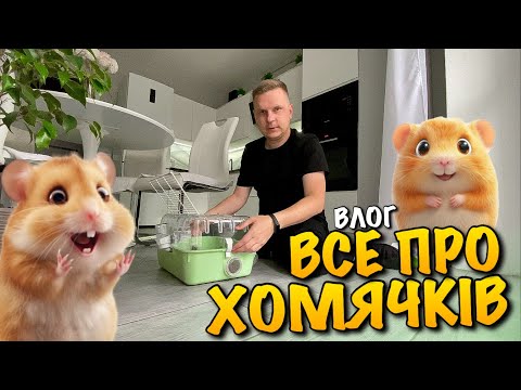 ALL ABOUT HAMSTERS HOW TO CARE FOR THEM | WHAT THEY LIKE TO EAT | HOW TO WASH | CAGE | TRAINING T...